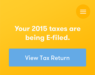 TaxChat summary screen